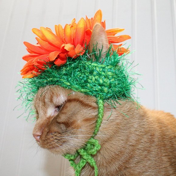 HAND CRAFTED Flower Child Cat Hat Crochet Hairy Wig Costume Photo Prop - Picture 5 of 11